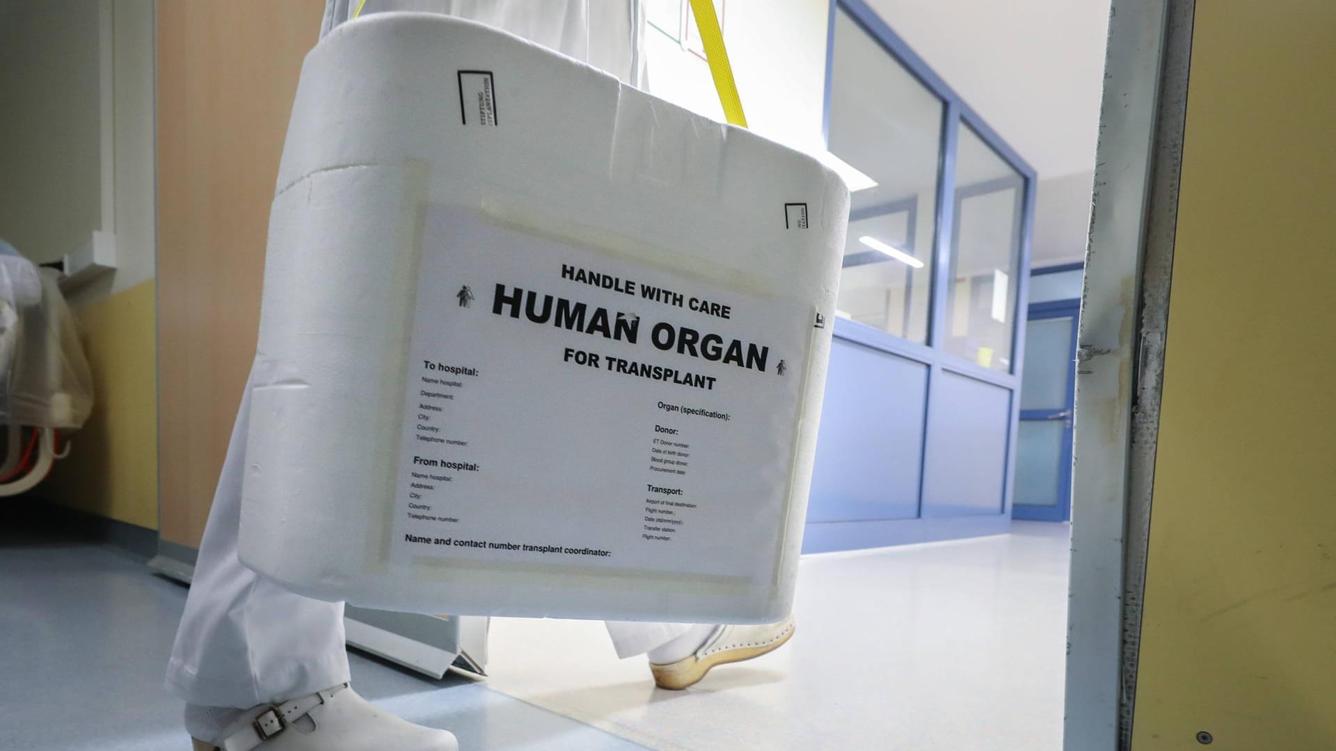 Organ-Transport: In den USA hat ein Spenderherz zwei Unfälle überlebt. Organ-Transport: In den USA hat ein Spenderherz zwei Unfälle überlebt.