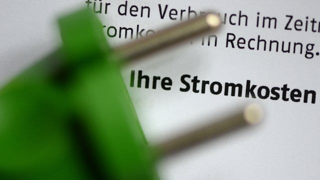 Etwa ein Fünftel des Strompreises für Haushaltskunden entfällt auf Netzentgelte.