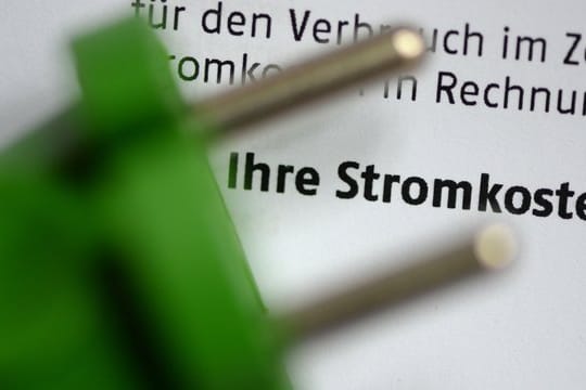 Etwa ein Fünftel des Strompreises für Haushaltskunden entfällt auf Netzentgelte.