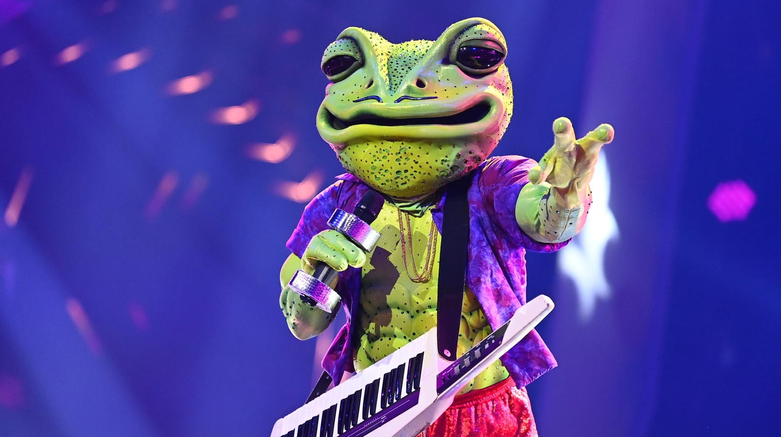 "The Masked Singer": Der Star im Frosch-Kostüm ist raus.