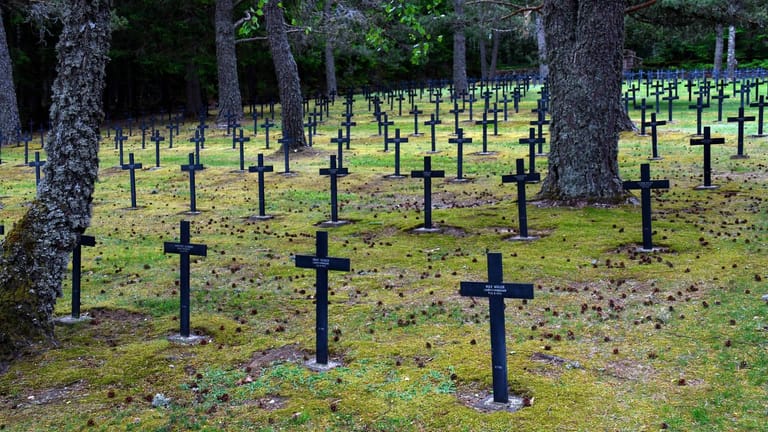 Auf dem Vogesen-Pass Collet du Linge stehen die Grabkreuze unzähliger Soldaten.
