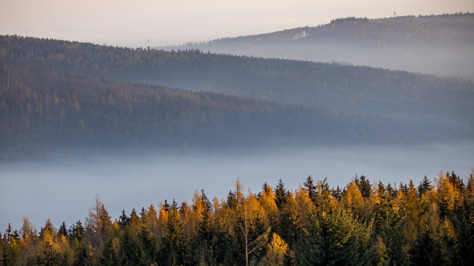 Nebel in Deutschland: Vielerorts lichtet sich der Nebel im Laufe des Vormittags (Symbolbild). Nebel in Deutschland: Vielerorts lichtet sich der Nebel im Laufe des Vormittags (Symbolbild).