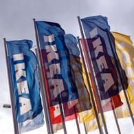 Flaggen vor einem Ikea-Haus (Symbolbild): Der Möbelkonzern steht mit seinem Deutschland-Geschäft gut da.