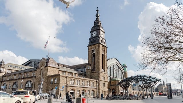 Blick auf den Ausgang Spitalerstrasse des Hamburger Hauptbahnhofs: Ein zweiter S-Bahn-Tunnel könnte den Verkehr an Deutschlands meistfrequentiertem Fernbahnhof entzerren. Blick auf den Ausgang Spitalerstrasse des Hamburger Hauptbahnhofs: Ein zweiter S-Bahn-Tunnel könnte den Verkehr an Deutschlands meistfrequentiertem Fernbahnhof entzerren.