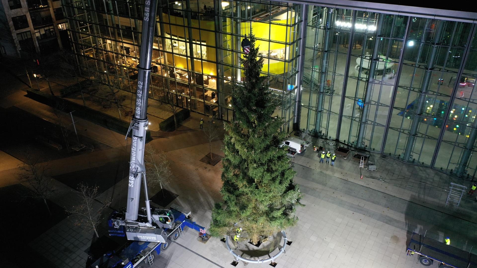 Der XXL-Weihnachtsbaum aus Solingen: Ab sofort schmückt er die Autostadt.