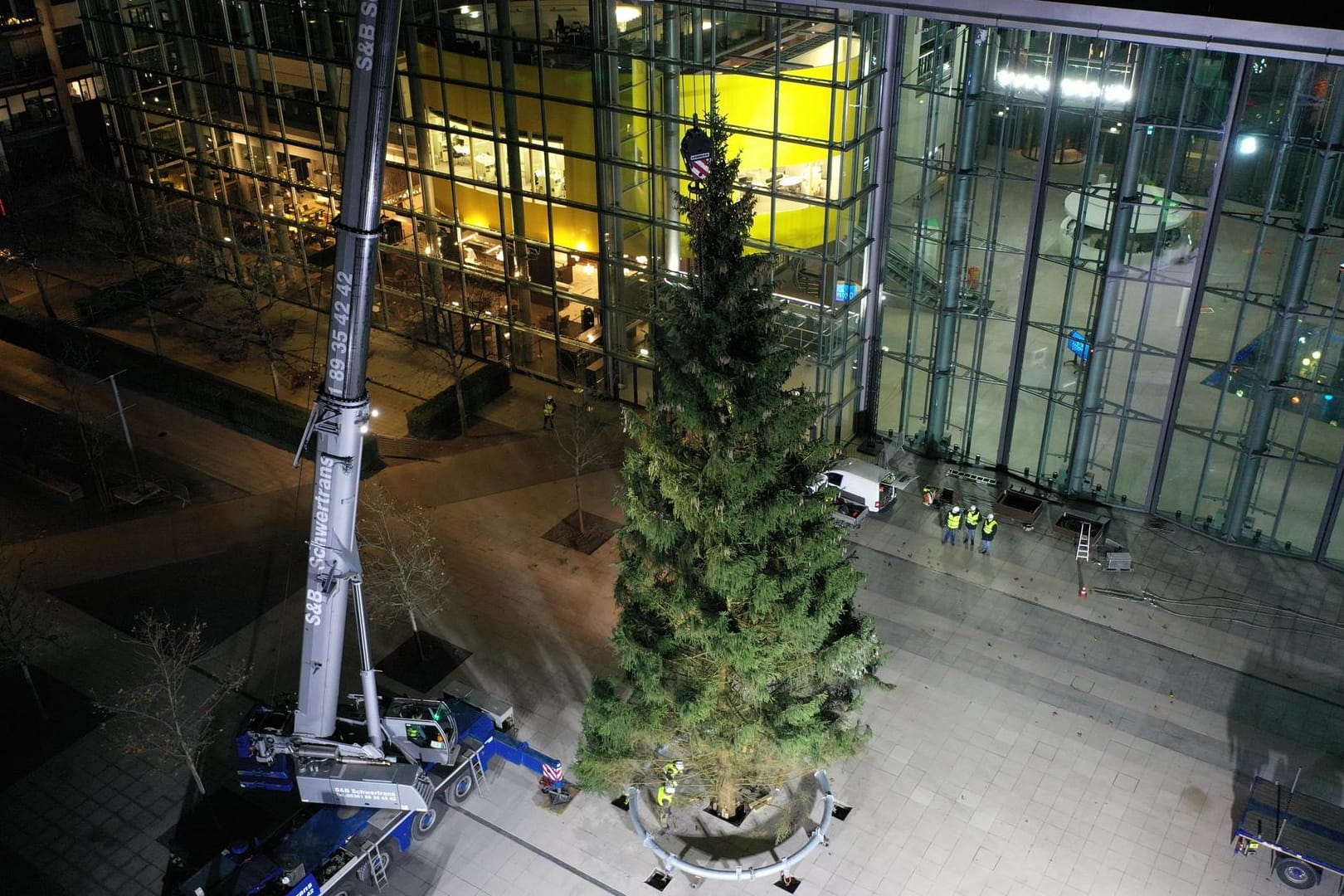 Der XXL-Weihnachtsbaum aus Solingen: Ab sofort schmückt er die Autostadt.