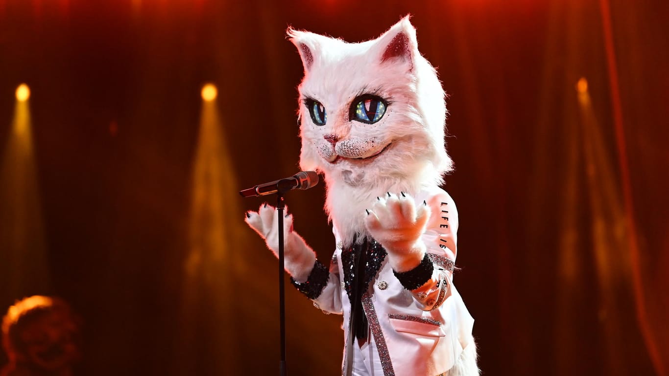 "The Masked Singer": Kurz vor dem Finale muss die Katze die Show verlassen.