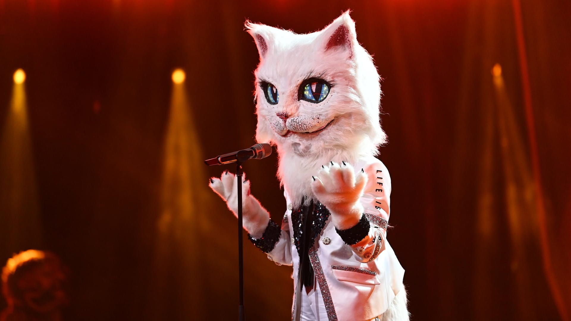 "The Masked Singer": Unter dem Kostüm steckt eine berühmte Sängerin.