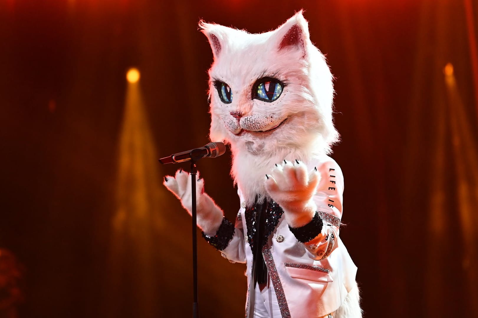 "The Masked Singer": Unter dem Kostüm steckt eine berühmte Sängerin.