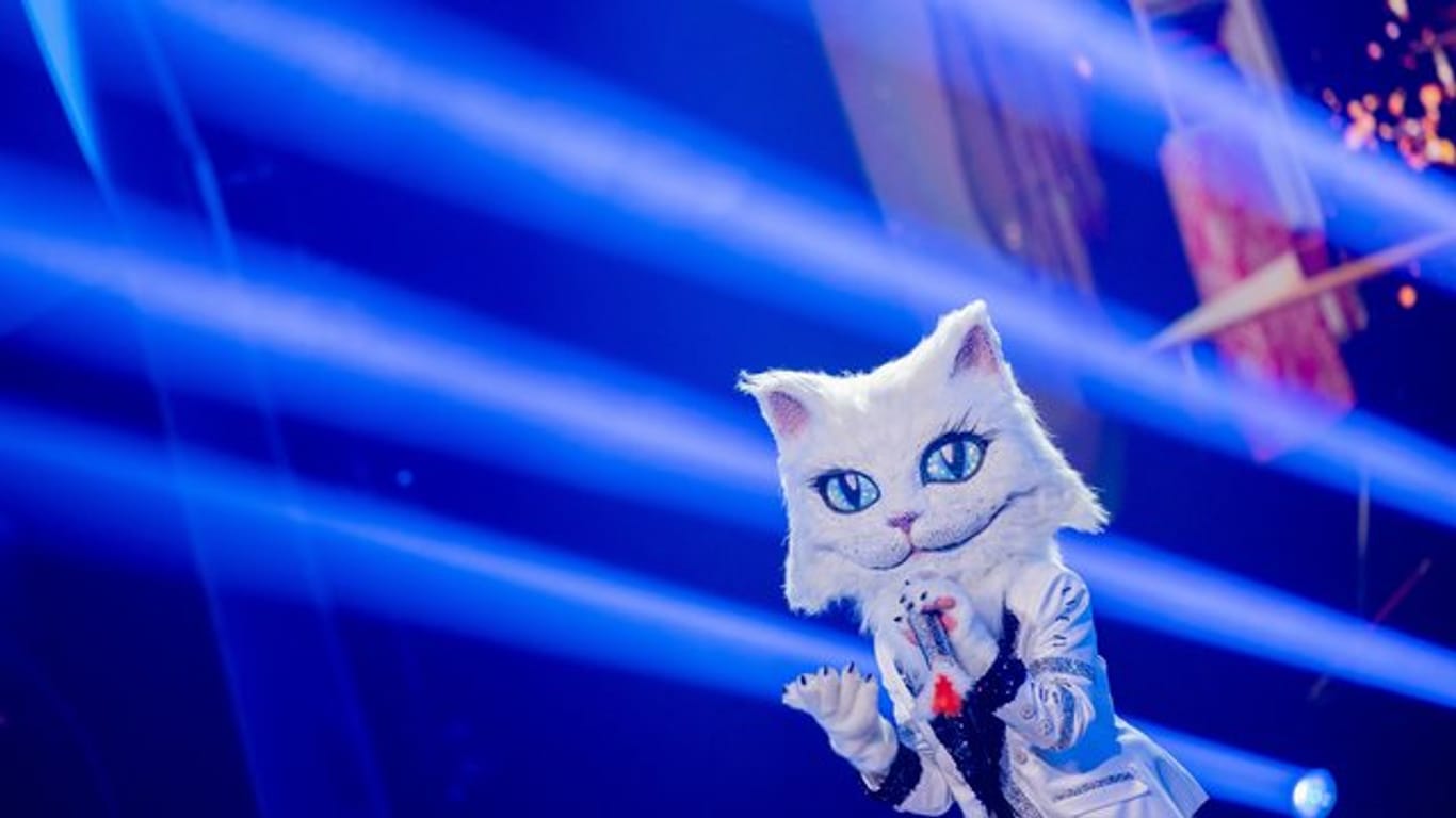 Hier ist die Figur noch dabei: "Die Katze" steht in der Prosieben-Show "The Masked Singer" Ende Oktober auf der Bühne.