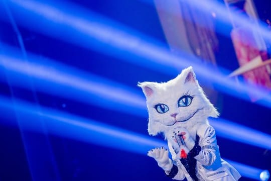 Hier ist die Figur noch dabei: "Die Katze" steht in der Prosieben-Show "The Masked Singer" Ende Oktober auf der Bühne.