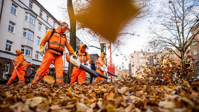 Gewohntes Herbstbild: Die Stadtreinigung beseitigt heruntergefallenes Laub.