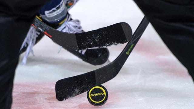Ein baldiger Start der Deutschen Eishockey Liga rückt immer näher.