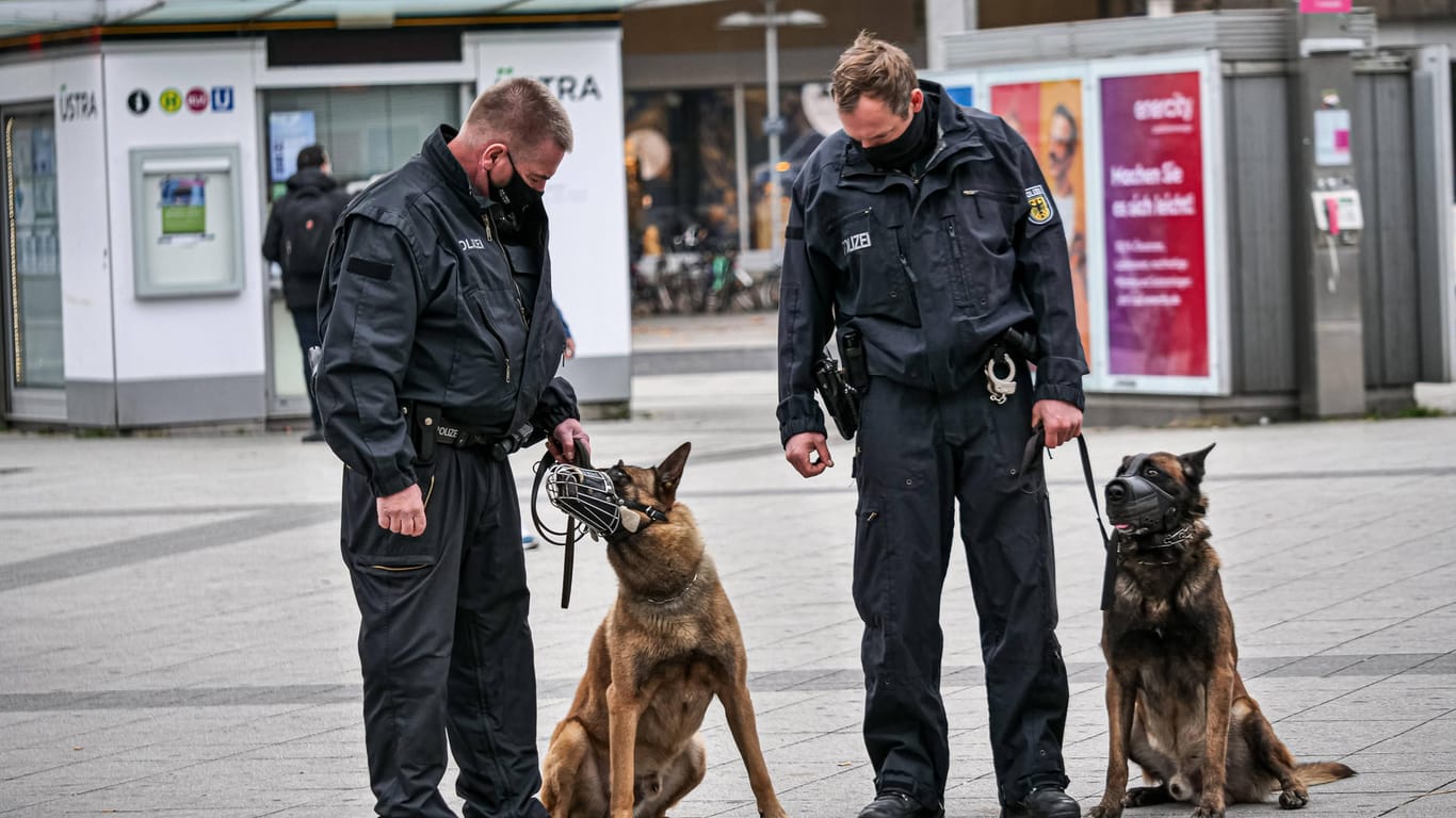 Beamte mit zwei Polizeihunden (Symbolbild): In Essen hat ein Polizeihund einen falschen Verdächtigen geschnappt.