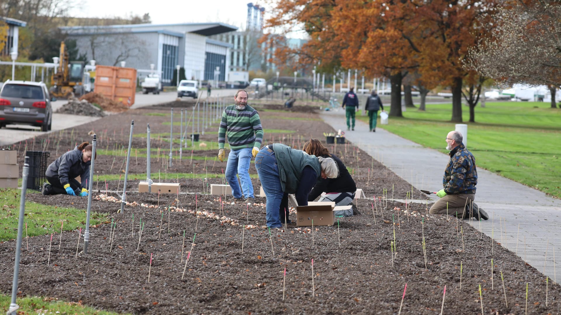 Mitarbeiter stecken Blumenzwiebeln auf ein Beet im egapark: 80.000 Zwiebeln werden für die Buga 2021 alleine in diesem Beet gesetzt.