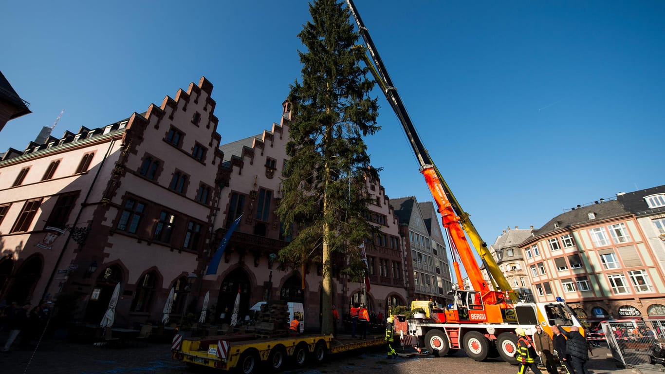 Der Frankfurter Weihnachtsbaum in 2019: In diesem Jahr wird er später als gewohnt aufgestellt.
