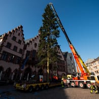 Der Frankfurter Weihnachtsbaum in 2019: In diesem Jahr wird er später als gewohnt aufgestellt.