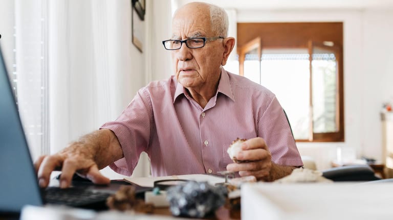 Rentner vor Computer (Symbolbild): Beamte zahlen bislang nicht in die Rentenkasse ein.