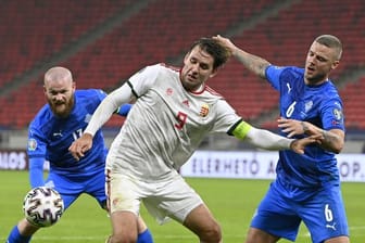 Verletzte sich bei Ungarns Play-Off-Sieg gegen Island: Mainz-Stürmer Adam Szalai.