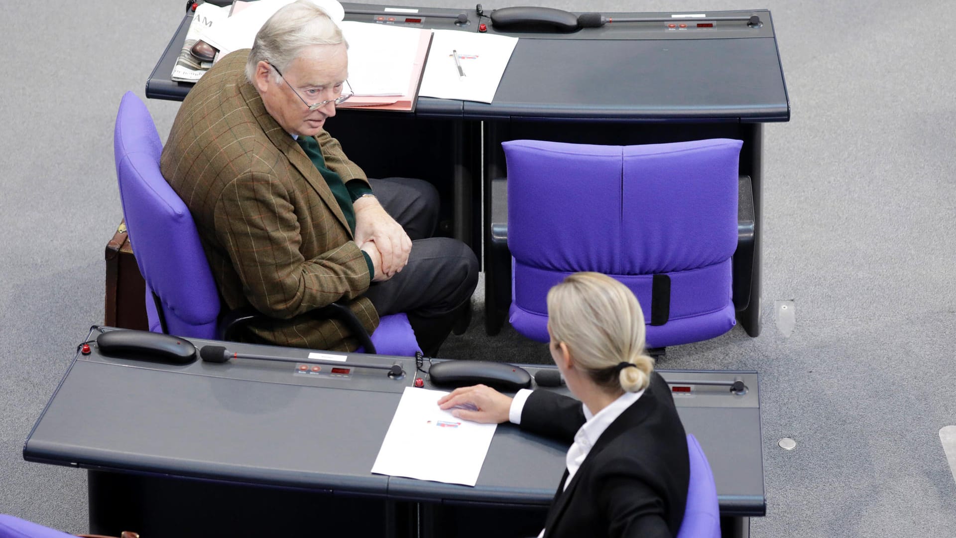 AfD-Fraktionsvorsitzende Alice Weidel und Alexander Gauland