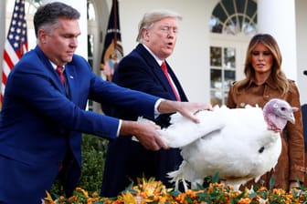 Donald Trump begnadigt an Thanksgiving 2019 einen Truthahn: Verschlimmert das Fest in diesem Jahr die Corona-Lage in den USA?