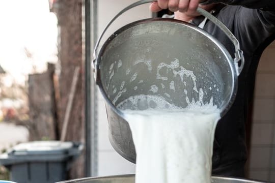 Rohmilch: Vor allem empfindliche Verbrauchergruppen sollten auf den Verzehr von Rohmilchprodukten verzichten.