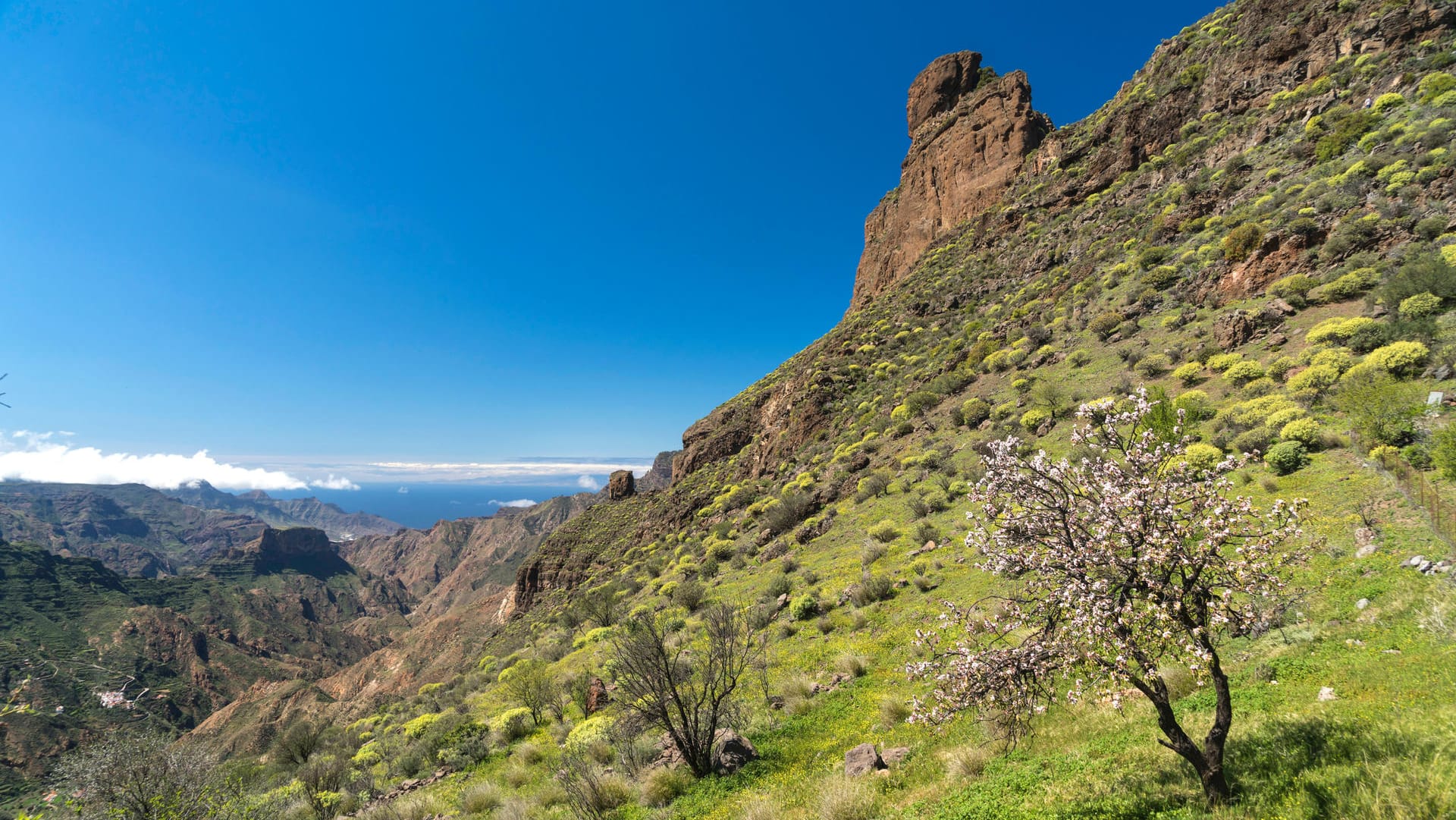 Urlaub auf Gran Canaria: Massenauftrieb wie auf so manchen Alpenstrecken brauchen Touristen nicht zu fürchten.