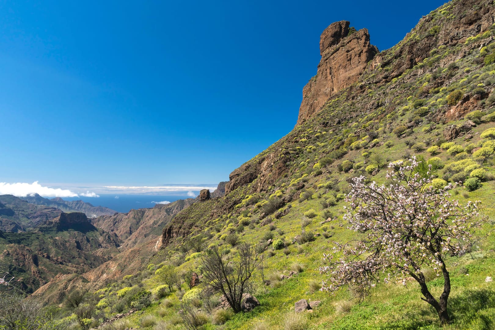 Urlaub auf Gran Canaria: Massenauftrieb wie auf so manchen Alpenstrecken brauchen Touristen nicht zu fürchten.