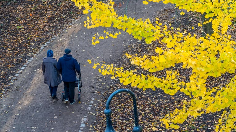 Ein älteres Ehepaar beim Spazierengehen (Symbolbild): Das Rentenniveau in Deutschland sinkt in den kommenden Jahren.