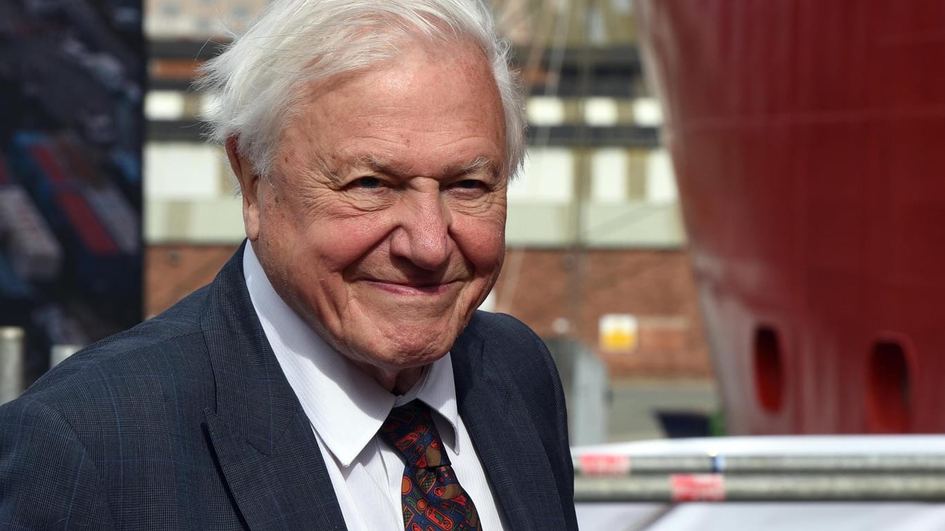 Sir David Attenborough: Nach nur zwei Monaten ist der Instagram-Account des Naturfilmers zwar noch abrufbar, aber inaktiv.