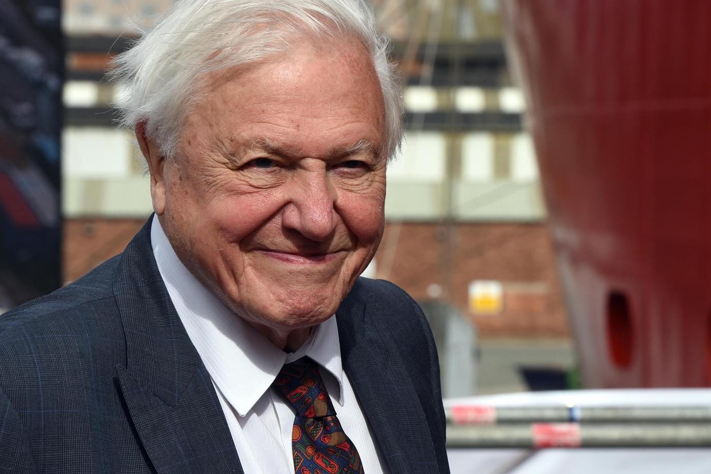 Sir David Attenborough: Nach nur zwei Monaten ist der Instagram-Account des Naturfilmers zwar noch abrufbar, aber inaktiv.