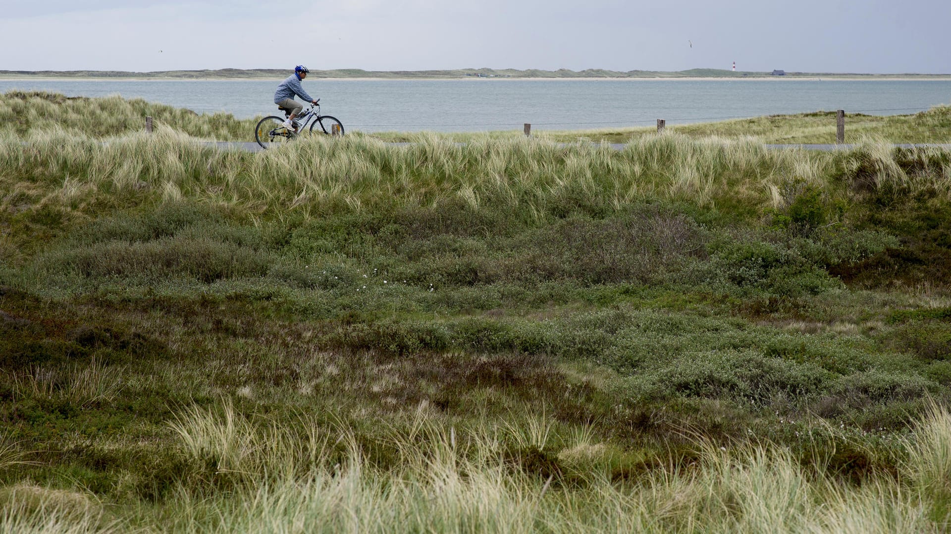 Norddeutschland: Radfahrer bei List auf Sylt – der Ort ist Deutschlands nördlichster Zipfel.