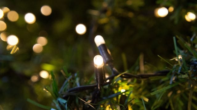 LED-Lichterketten sparen im Vergleich zu herkömmlichen Lämpchen viel Strom.