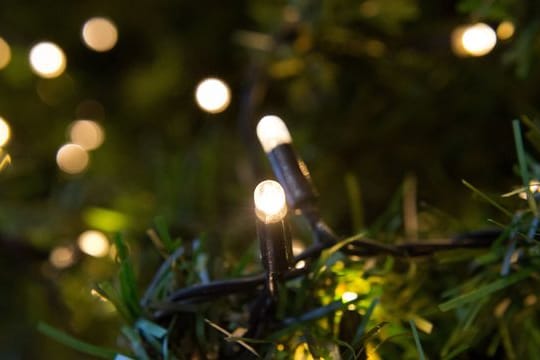 LED-Lichterketten sparen im Vergleich zu herkömmlichen Lämpchen viel Strom.