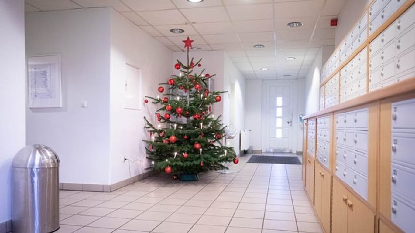 Weihnachtsbaum in der JVA Glasmoor (Symbolbild): 22 Gefangene durften die Haft in diesem Jahr vorzeitig verlassen.