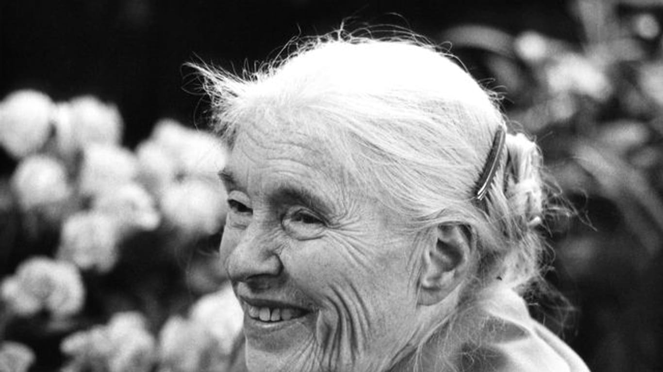 Die Schriftstellerin Anna Seghers an ihrem 80. Geburtstag am 19. November 1980 in Berlin (Archivbild): Sie wird posthum vom bpb geehrt.