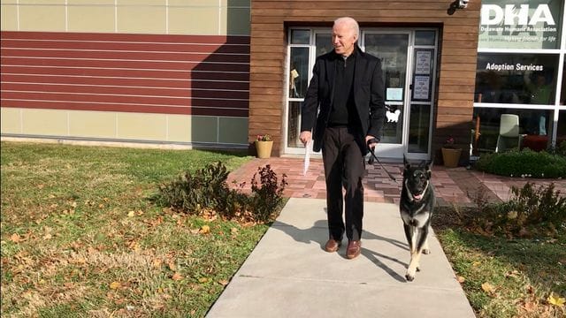 Joe Biden mit seinem Deutschen Schäferhund "Major". Joe Biden mit seinem Deutschen Schäferhund "Major".