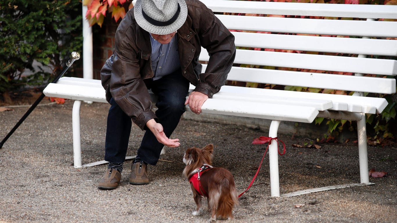 Senior mit Hund: Für den Fall der Fälle sollten sich Tierbesitzer bereits im Vorfeld darum kümmern und eine sogenannte Vorsorgevollmacht erstellen.