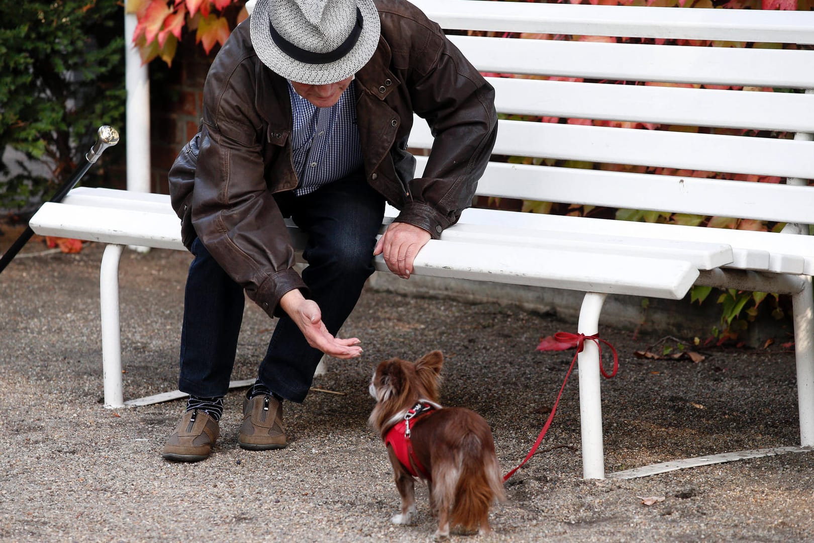 Senior mit Hund: Für den Fall der Fälle sollten sich Tierbesitzer bereits im Vorfeld darum kümmern und eine sogenannte Vorsorgevollmacht erstellen.