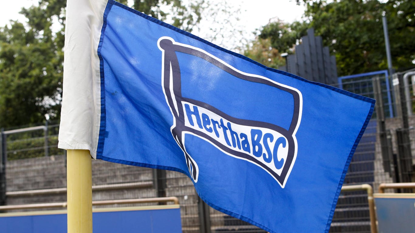 Flagge von Hertha BSC (Symbolbild): Der Verein hat in einer nächtlichen Aktion tausende Fahnen in Berlin aufgestellt.
