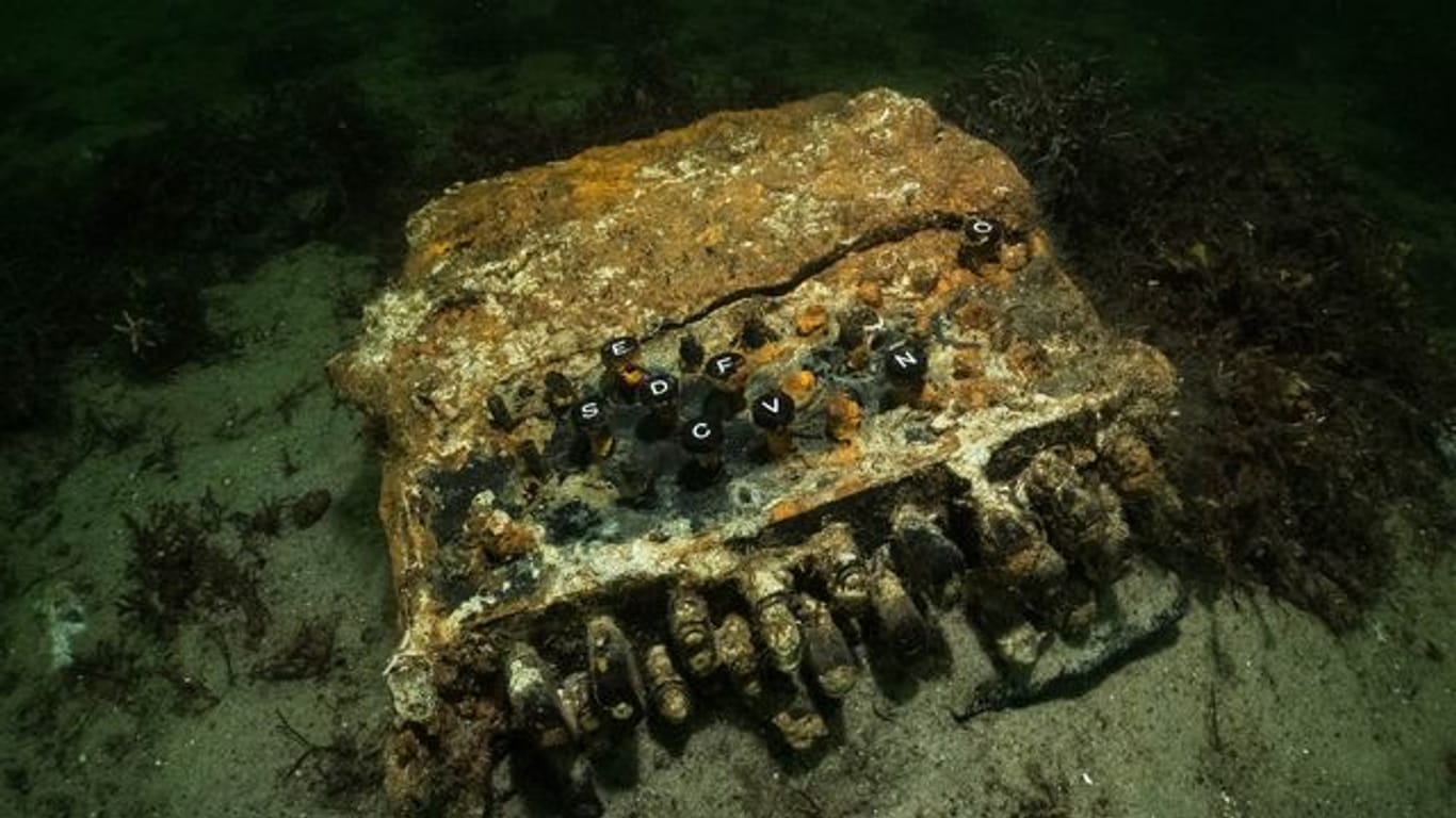 Die von dem Unterwasserarchäologen und Taucher Florian Huber auf dem Grund der Ostsee fotografierte Enigma-Chiffriermaschine aus dem 2.