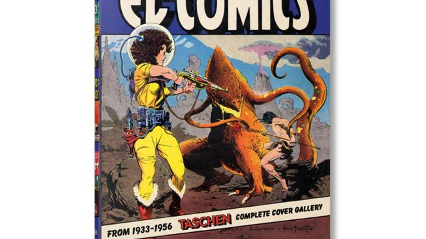 "The History of EC Comics" von Grant Geissman.