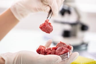 Laborfleisch (Symbolbild): Prognosen zufolge sollen bereits 2030 zehn Prozent des weltweit konsumierten Fleisches künstlich hergestellt werden.