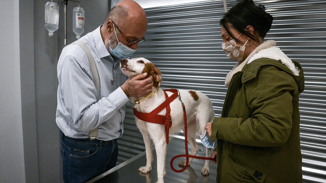 Tierarztbesuch mit Hund (Symbolbild): In München ist ein Hund positiv auf das Coronavirus getestet worden.