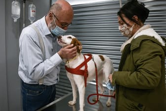 Tierarztbesuch mit Hund (Symbolbild): In München ist ein Hund positiv auf das Coronavirus getestet worden.