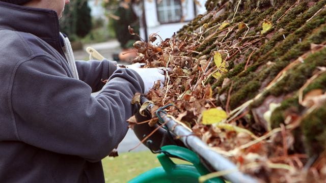 Hausbesitzer sollten ihre Regenrinne jetzt von Laub befreien.