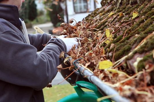 Hausbesitzer sollten ihre Regenrinne jetzt von Laub befreien.