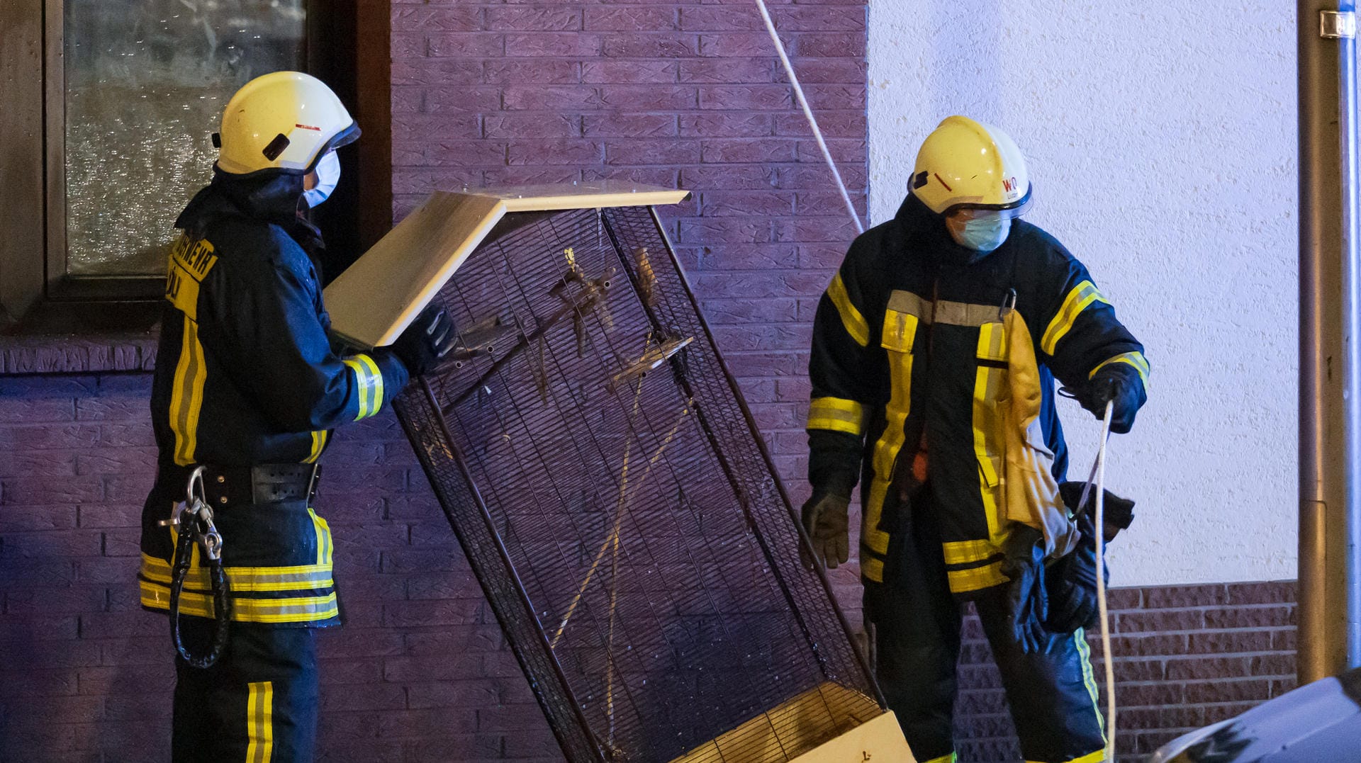 Feuerwehrleute transportieren nach einem Dachstuhlbrand einen Vogelkäfig: Bei dem Dachstuhlbrand sind ein Wellensittich und drei Axolotl gerettet worden. Feuerwehrleute transportieren nach einem Dachstuhlbrand einen Vogelkäfig: Bei dem Dachstuhlbrand sind ein Wellensittich und drei Axolotl gerettet worden.