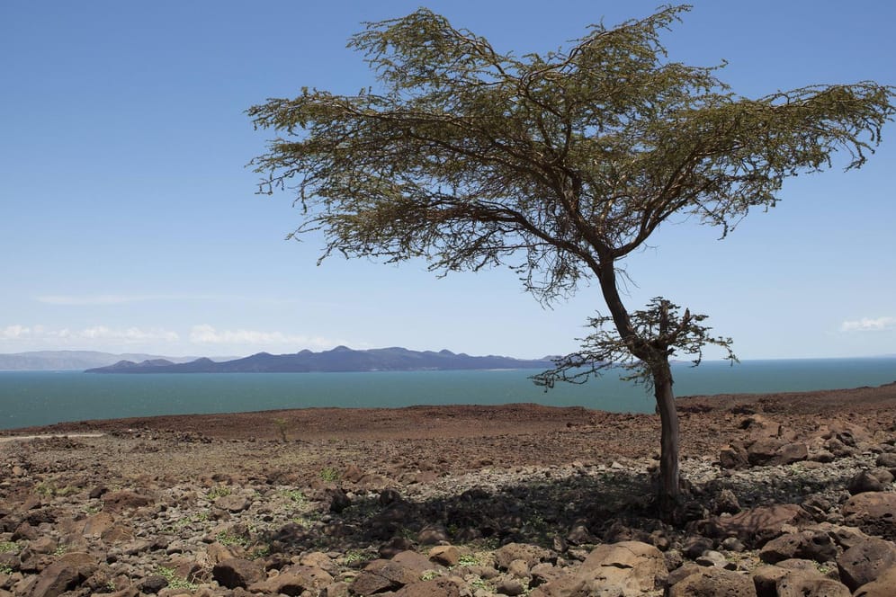 Turkana-See in Kenia: Das Gebiet rundherum ist besonders durch die Klimakrise bedroht.