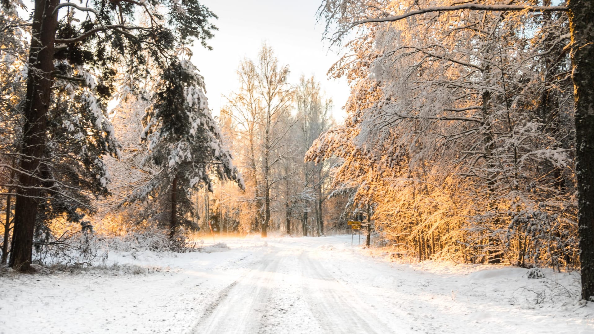 Schneefall: Im Bergland könnte der Schnee sogar etwas liegen bleiben (Symbolbild). Schneefall: Im Bergland könnte der Schnee sogar etwas liegen bleiben (Symbolbild).